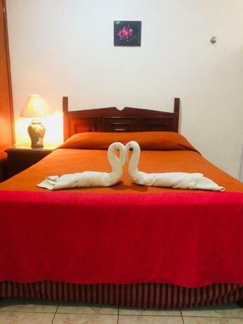 Hotel Maria'S Nicte Ha Progreso  Eksteriør bilde